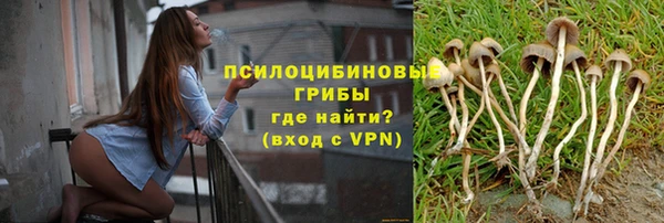 дмт Лихославль