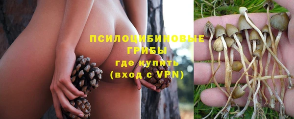 spice Лиски