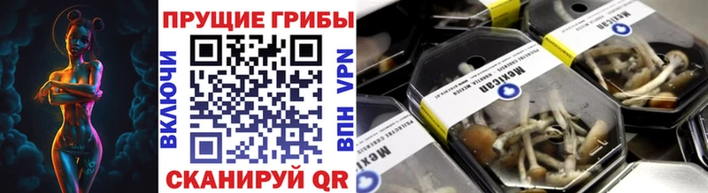 Галлюциногенные грибы мицелий  Купить  Сортавала 